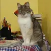 Отзыв от Екатерина Горячева